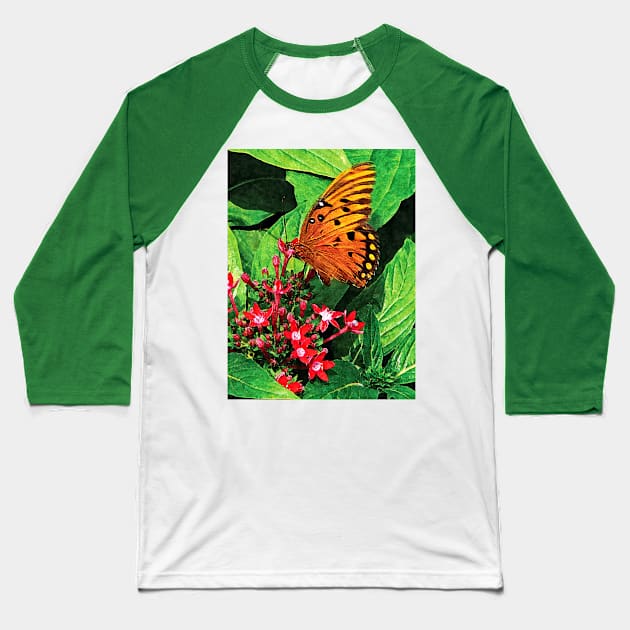 Butterflies - Orange Butterfly on Kalanchoe Baseball T-Shirt by SusanSavad